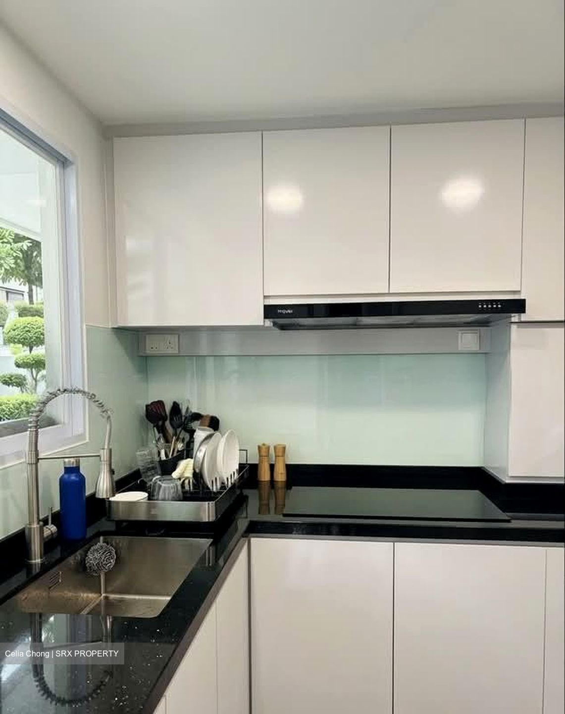 Blk 239 Bukit Panjang Ring Road (Bukit Panjang), HDB Executive #562242701